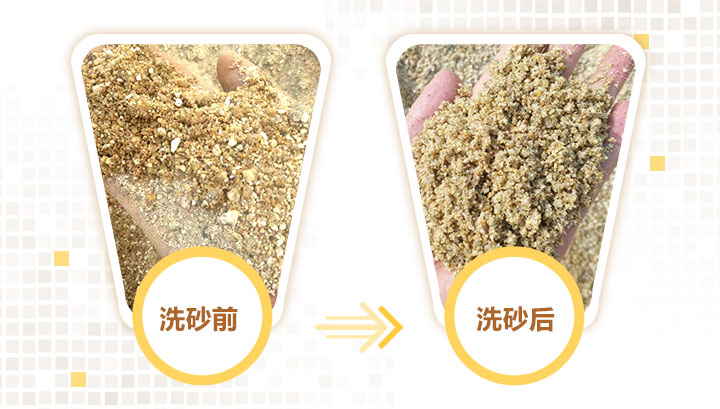 洗沙前后对比图